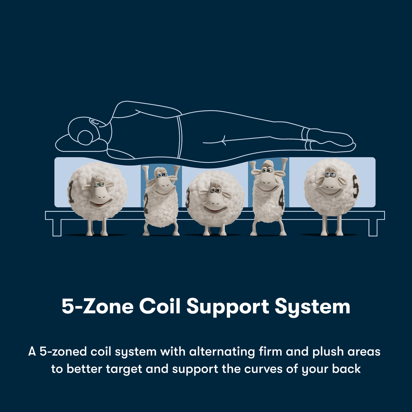 Illustration of a person lying on a mattress with cartoon sheep representing the 5-zone coil support system.