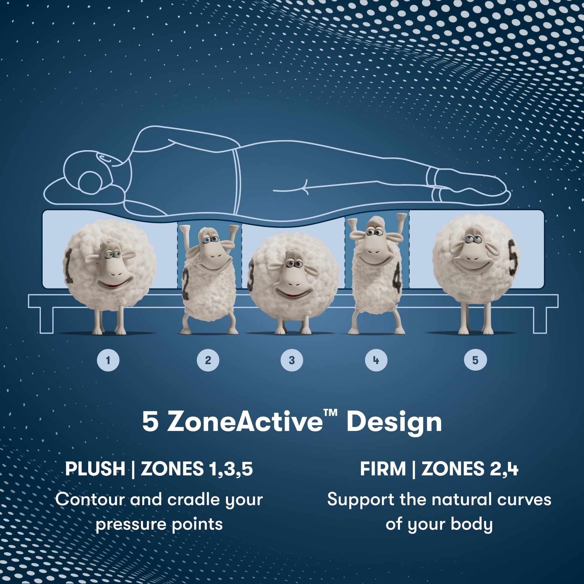 Perfect Sleeper Pro Valais Plush Pillow Top Mattress Component 5 Zone chart || Level: Level 3 || Feel: Plush Pillow Top
