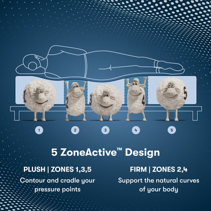 Perfect Sleeper Pro New Paris Medium Mattress Component 5 Zone chart || Level: Level 3 || Feel: Medium
