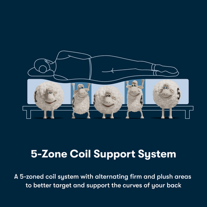 Illustration of a person lying on a mattress with cartoon sheep representing the 5-zone coil support system.